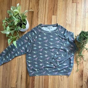 A quirky Wildfox Dino sweater that is perfectly baggy